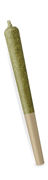 Cannabis Pre-roll with a beige crutch