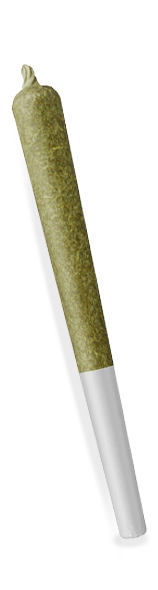 Cannabis pre-roll with white crutch